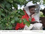 Fischbachtal kreativ - Rund um die Bienen 23.06.2013 - Bild11.jpg