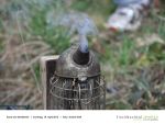 Rund um die Bienen 14 - Foto Achim Krell.jpg