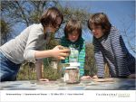 2014-03-29 Experimente mit Wasser-page-006 - bei Fischbachtal kreativ.jpg