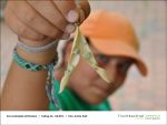 Fischbachtal kreativ - Gartenjahr mit Kindern am 26.07.2013 - Bild08.jpg