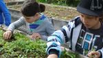 Fischbachtal kreativ - 2013 - Ein Gartenjahr für Kinder