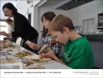 Pilz-Seminar bei Fischbachtal kreativ am 2013-09-28-18.jpg