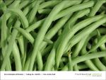 Fischbachtal kreativ - Gartenjahr mit Kindern am 26.07.2013 - Bild14.jpg