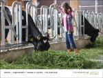 Fischbachtal kreativ besucht das Hofgut Oberfeld - 2013-06-15-Bild10.jpg
