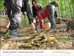 Pilz-Seminar bei Fischbachtal kreativ am 2013-09-28-06.jpg