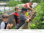 Fischbachtal kreativ - Gartenjahr mit Kindern - 2013-06-14-Bild09.jpg