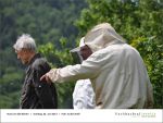 Fischbachtal kreativ - Rind um die Bienen 02-06.2013 - 05.jpg
