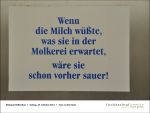 2013-10-25-09 - Exkursion zur Molkerei Huettenthal mit Fischbachtal kreativ.jpg