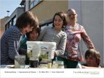 2014-03-29 Experimente mit Wasser-page-018 - bei Fischbachtal kreativ.jpg