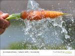 Fischbachtal kreativ - Gartenjahr mit Kindern am 26.07.2013 - Bild02.jpg