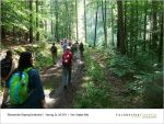 2014-07-26-Pilgertag-page-004.jpg