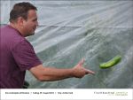 Fischbachtal kreativ - 09.08.2013 - Gartenjahr mit Kindern - Bild02.jpg