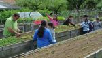 Fischbachtal kreativ - 2013 - Ein Gartenjahr für Kinder