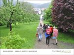 Fischbachtal kreativ - Rund um die Kraeuter 31.05.2013- Bild04.jpg