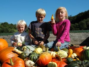 Kürbis-Kinder - Foto Horndreher Hof Kürbis-Kinder - Foto Horndreher Hof