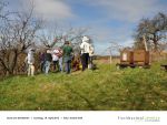 Rund um die Bienen 02 - Foto Achim Krell.jpg