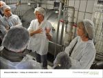 2013-10-25-16 - Exkursion zur Molkerei Huettenthal mit Fischbachtal kreativ.jpg