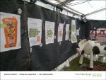 Nonstock-Festival - 2013-08-30-06- Partner-Event bei Fischbachtal kreativ.jpg