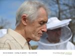Rund um die Bienen 23 - Foto Achim Krell.jpg