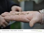  Gartenjahr mit Kindern bei Fischbachtal kreativ am 19.04.2013 - Bild05.jpg