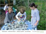 Bilder Experimente mit Wasser II klein_Seite_15.jpg