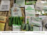  Gartenjahr mit Kindern bei Fischbachtal kreativ am 04.04.2013 - Bild03.jpg