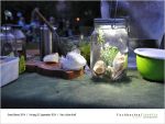 2014-09-05-Green-Dinner-page-041.jpg