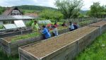 Fischbachtal kreativ - 2013 - Ein Gartenjahr für Kinder