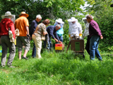 files/fischbachtal-kreativ/content/events/2013 Ernaehrung/Bienenseminar/Teaser - Fischbachtal kreativ - Rund um die Bienen.png