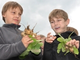 Gartenjahr mit Kindern bei Fischbachtal kreativ