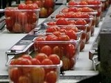 Fischbachtal kreativ - Filmabend We feed the World - Foto von 'http://www.we-feed-the-world.at/pic_8.htm'