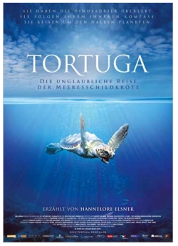 Filmplakat